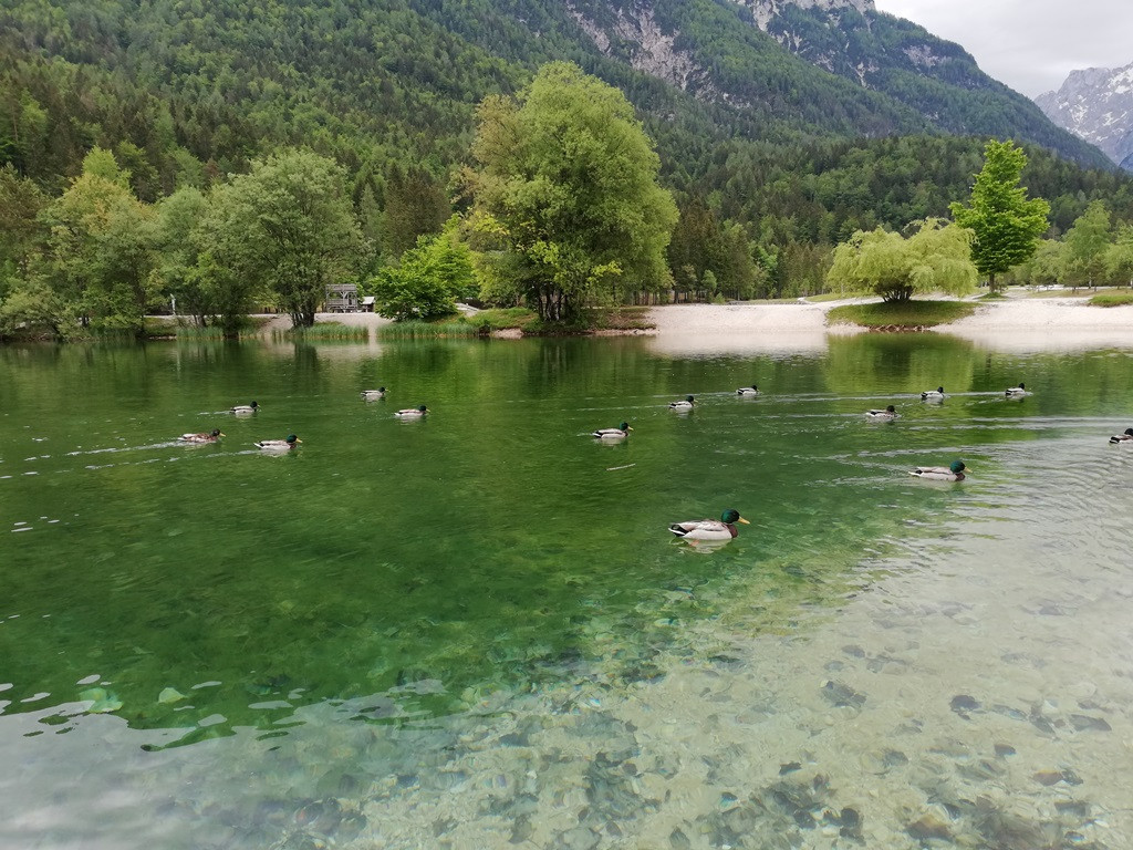 Izlet do jezera Jasna