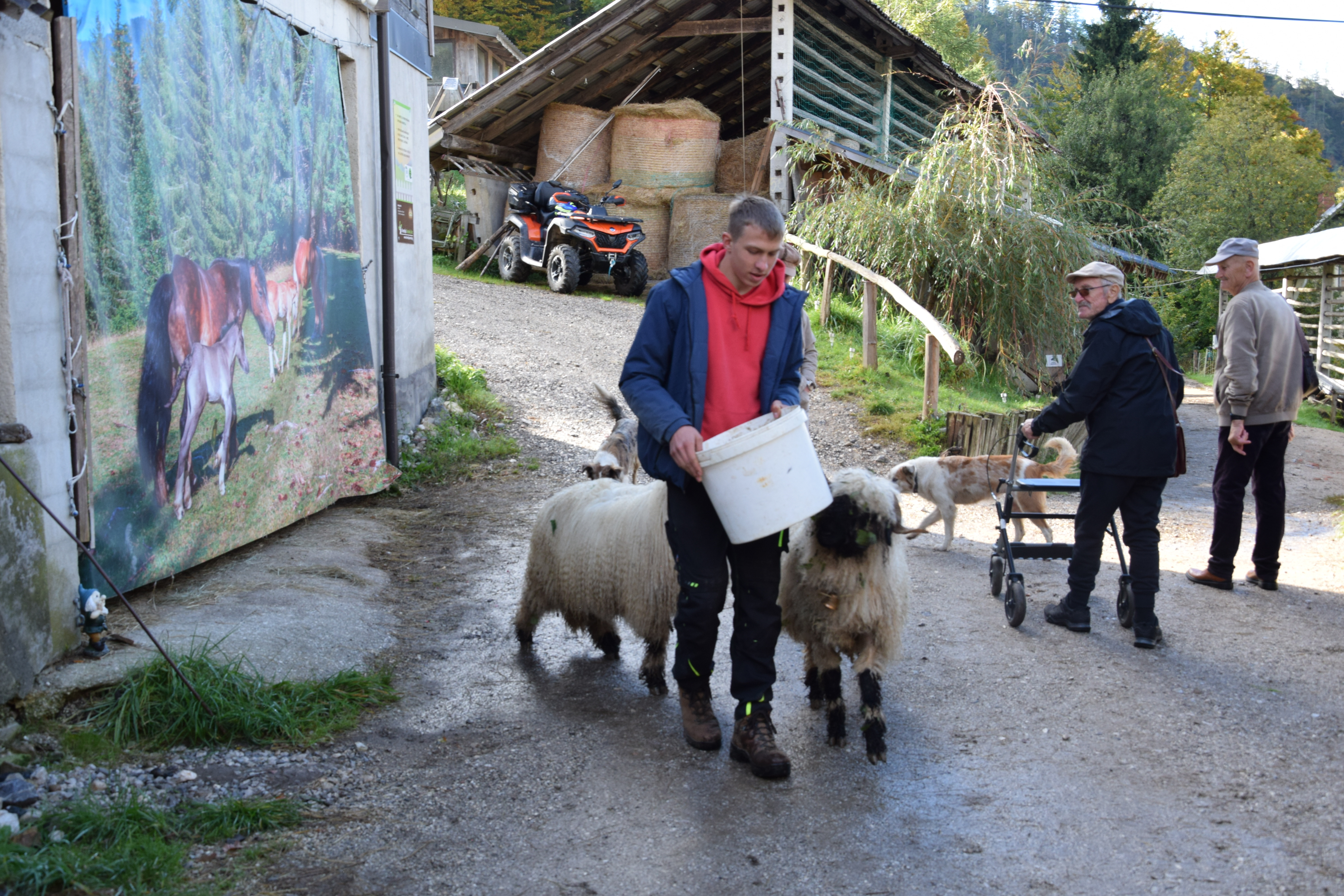Izlet stanovalcev v Planino pod Golico
