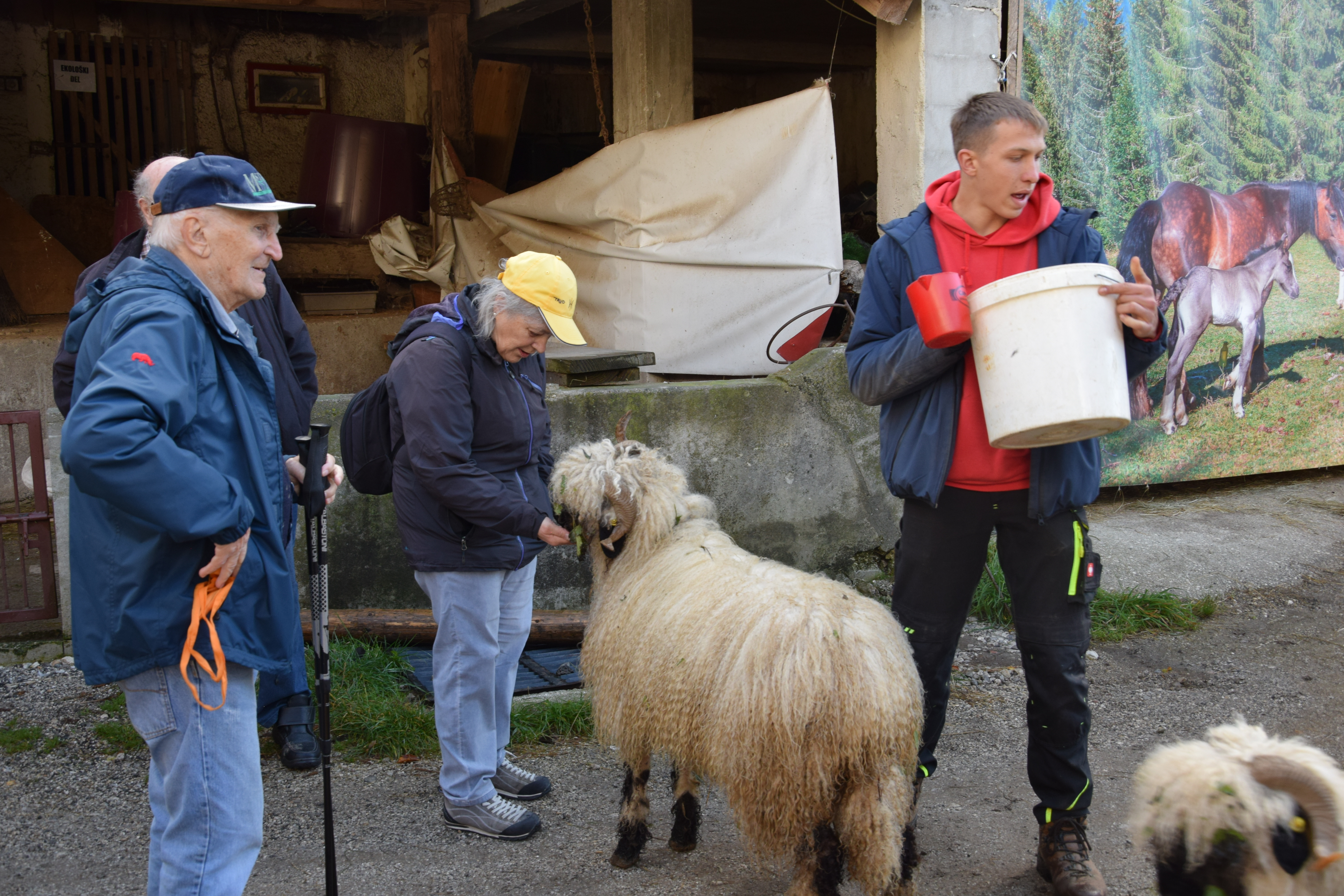 Izlet stanovalcev v Planino pod Golico