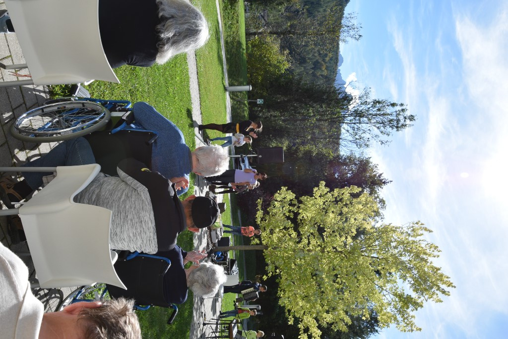 Mednarodni dan starejših