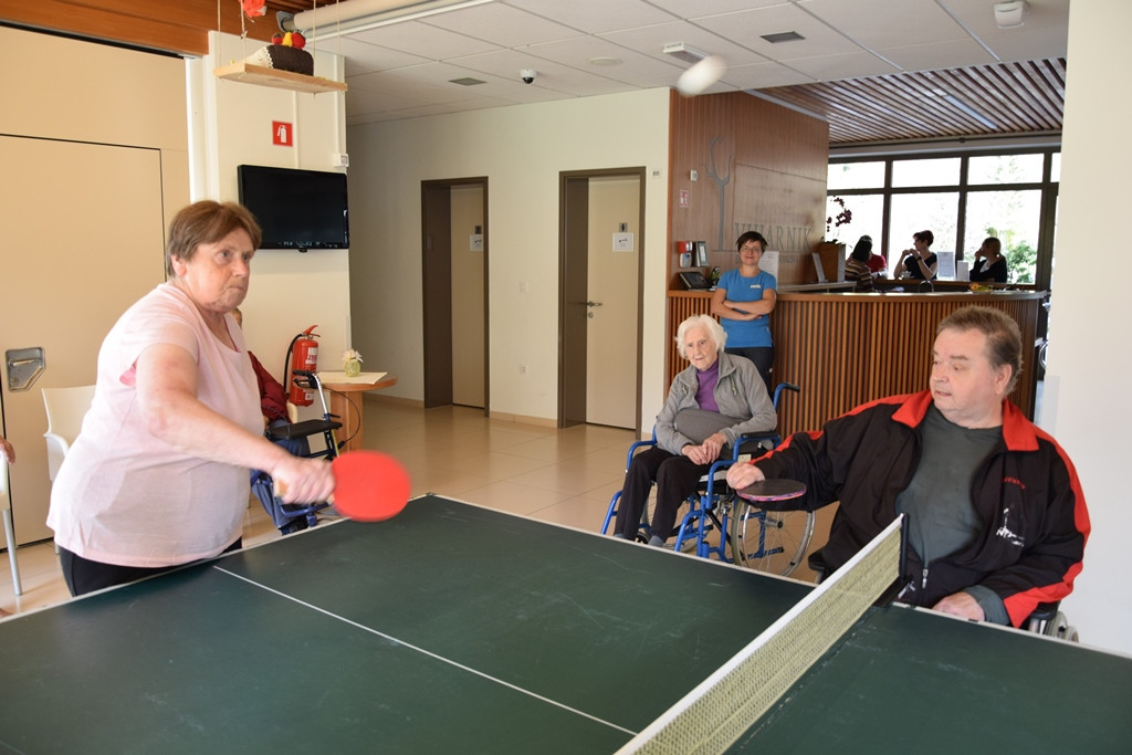 Naša zgodba o simbiozi giba