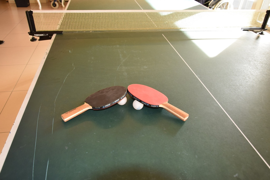 Naša zgodba o simbiozi giba