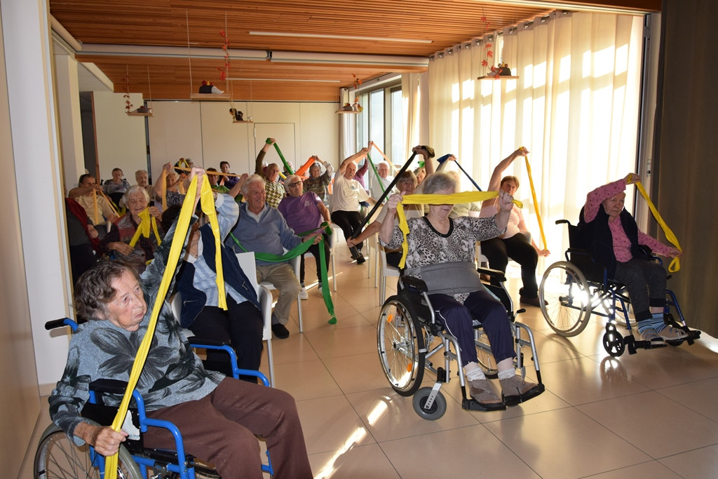 Naša zgodba o simbiozi giba