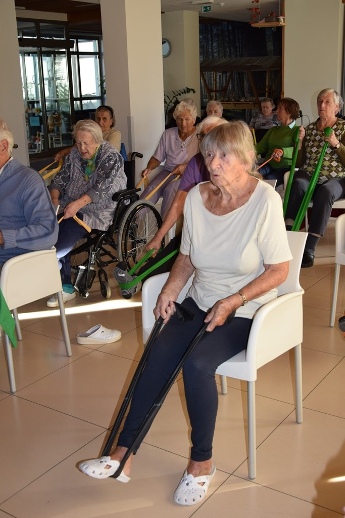 Naša zgodba o simbiozi giba