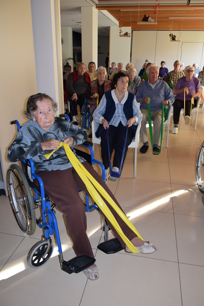 Naša zgodba o simbiozi giba