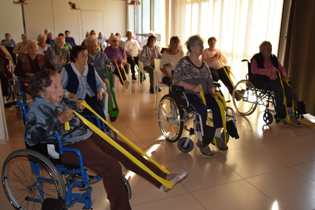 Naša zgodba o simbiozi giba