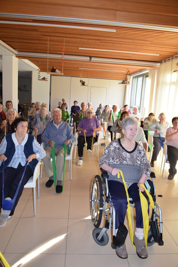 Naša zgodba o simbiozi giba