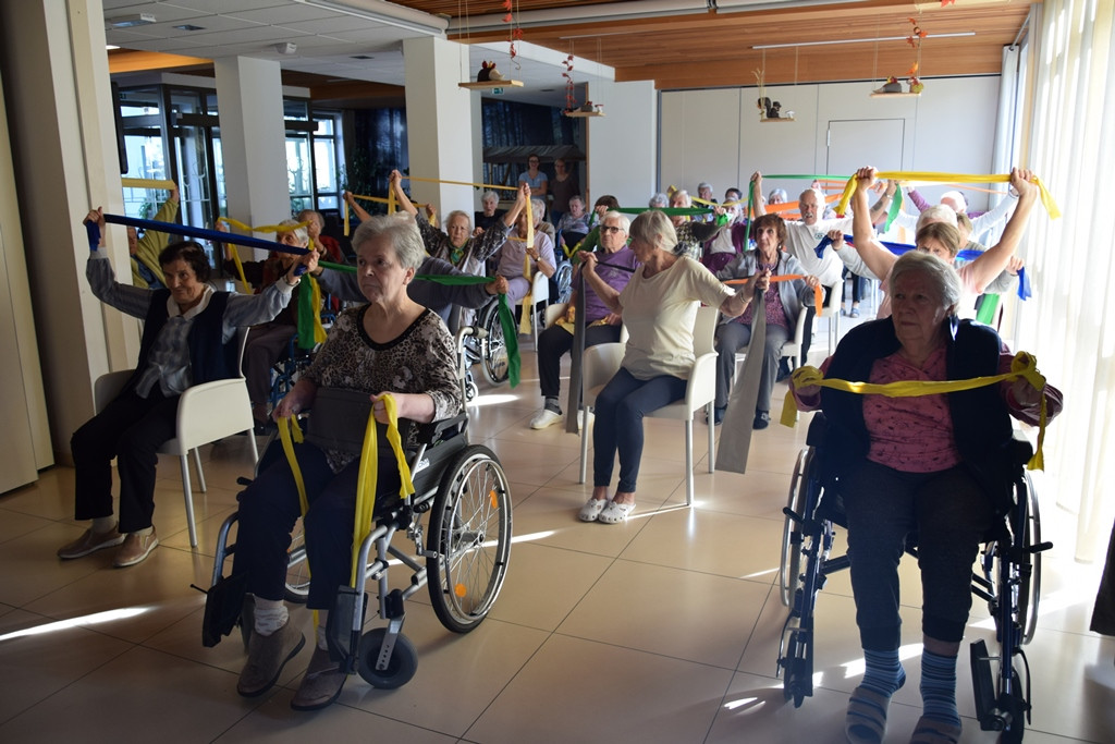 Naša zgodba o simbiozi giba