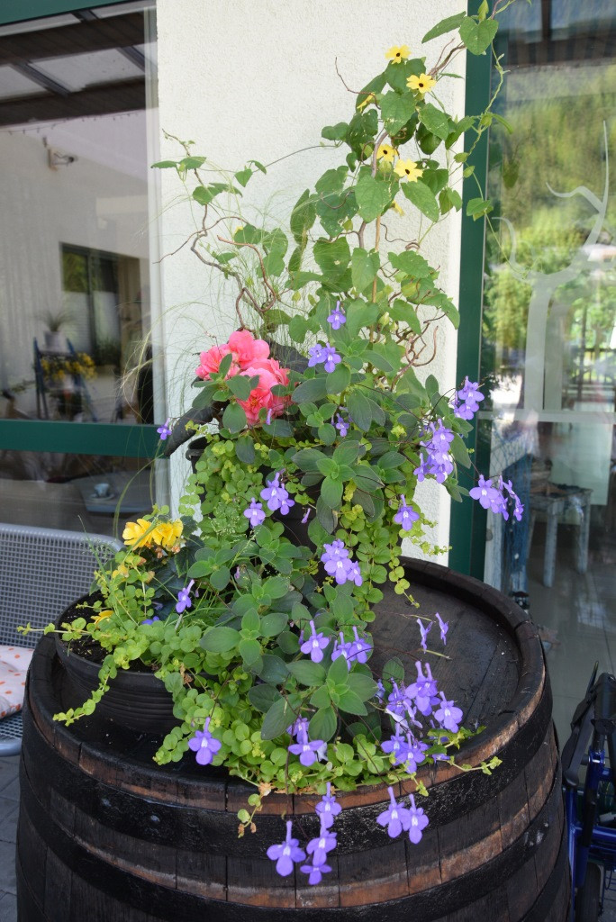 Nastop folklorne skupine KPD Lesce