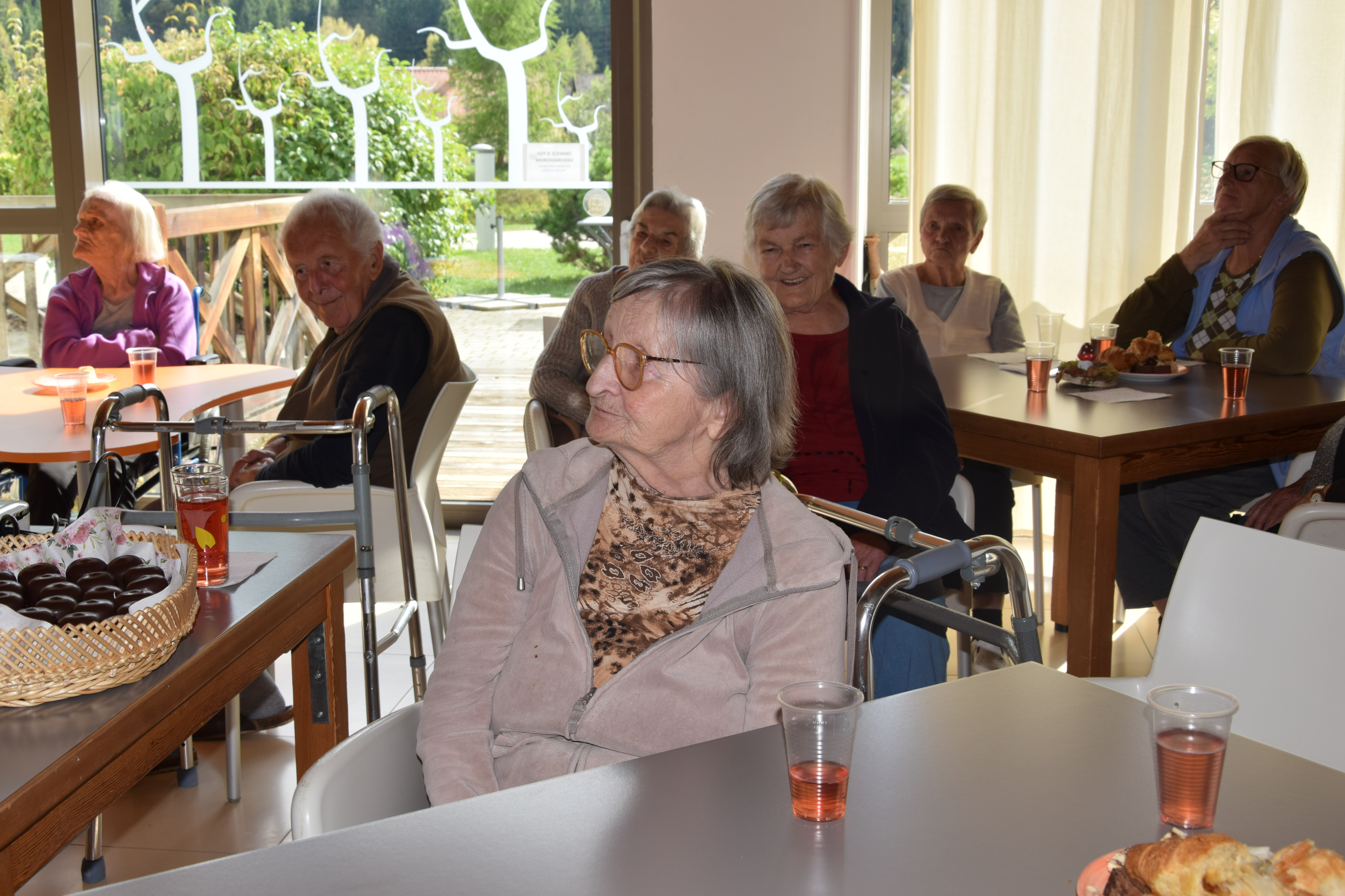 Nastop rožnata poezija