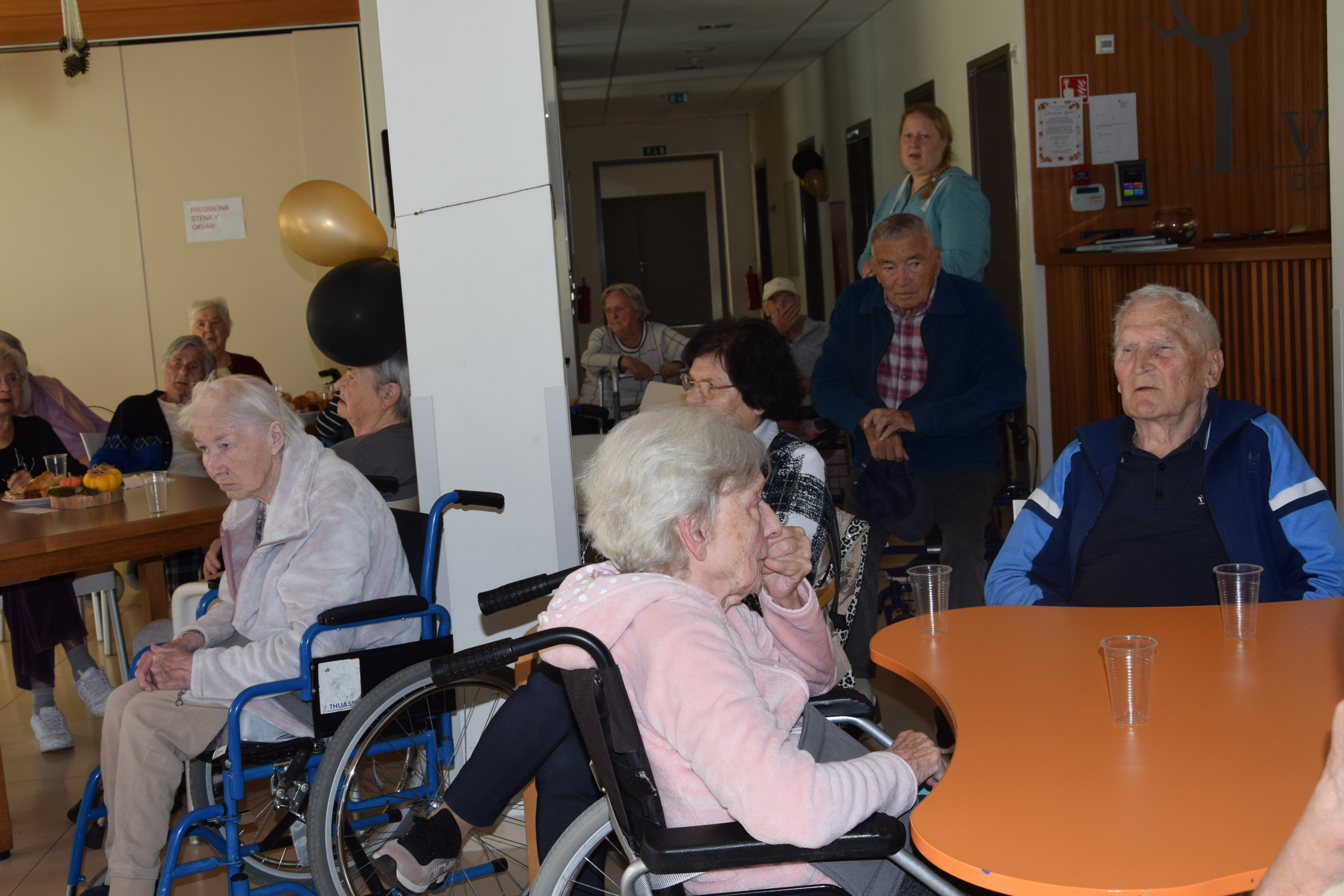 Nastop rožnata poezija