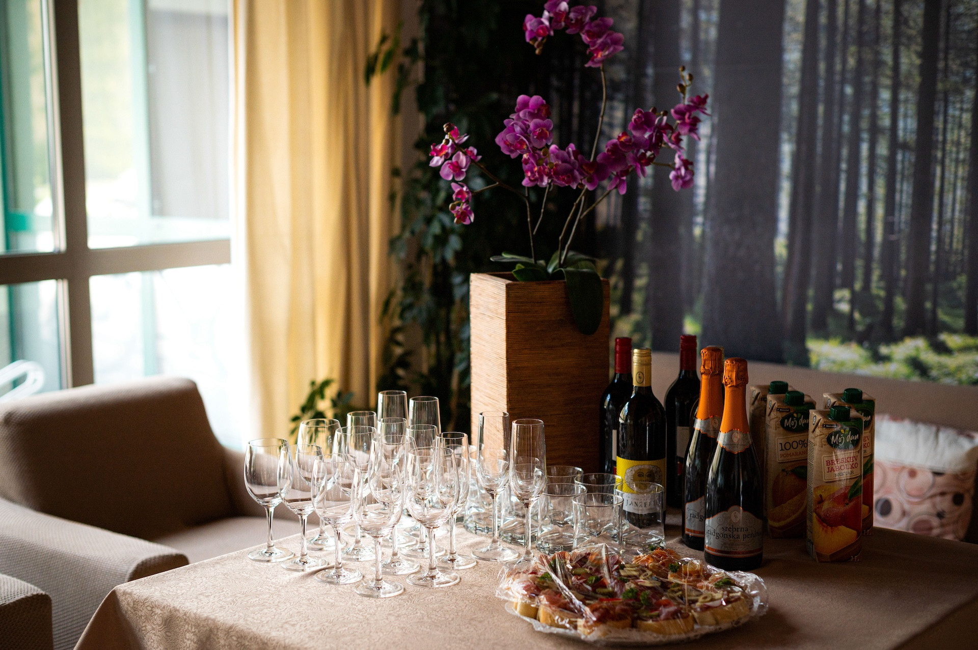 Ob praznovanju 10. obletnice doma Viharnik