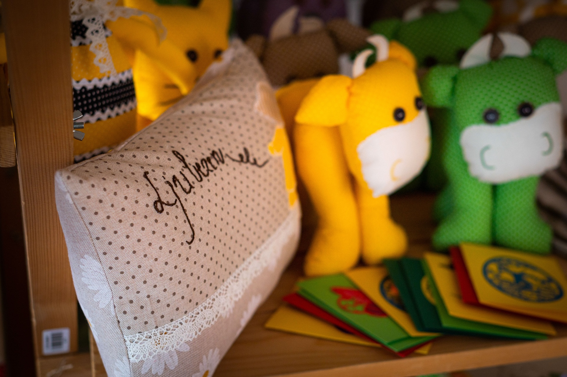 Ob praznovanju 10. obletnice doma Viharnik