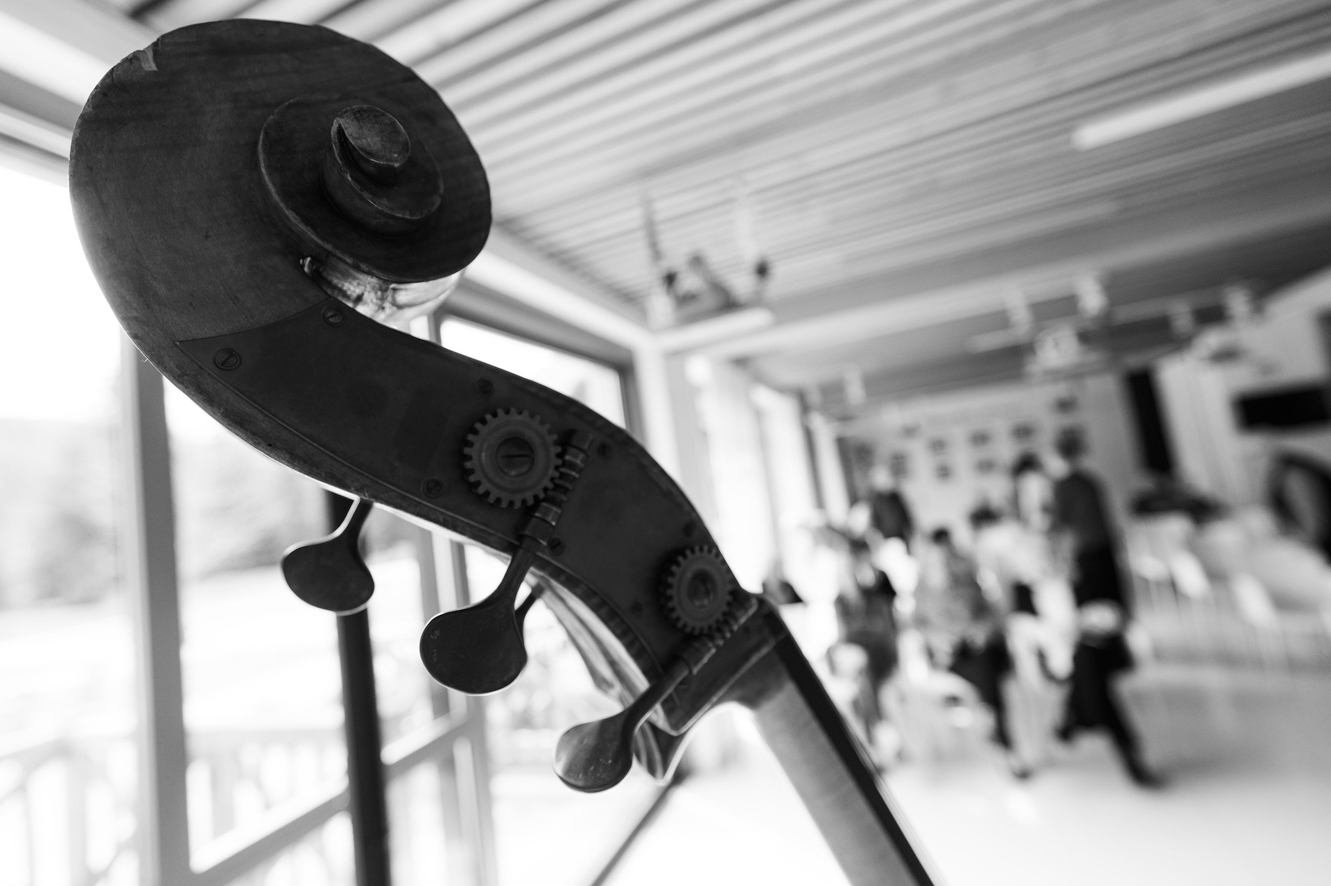 Ob praznovanju 10. obletnice doma Viharnik