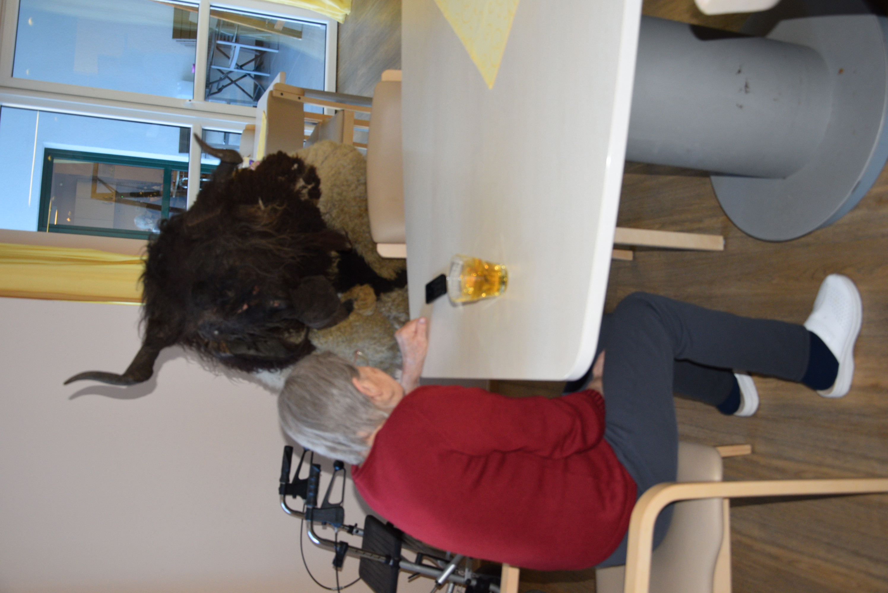 Obiskal nas je sveti Miklavž