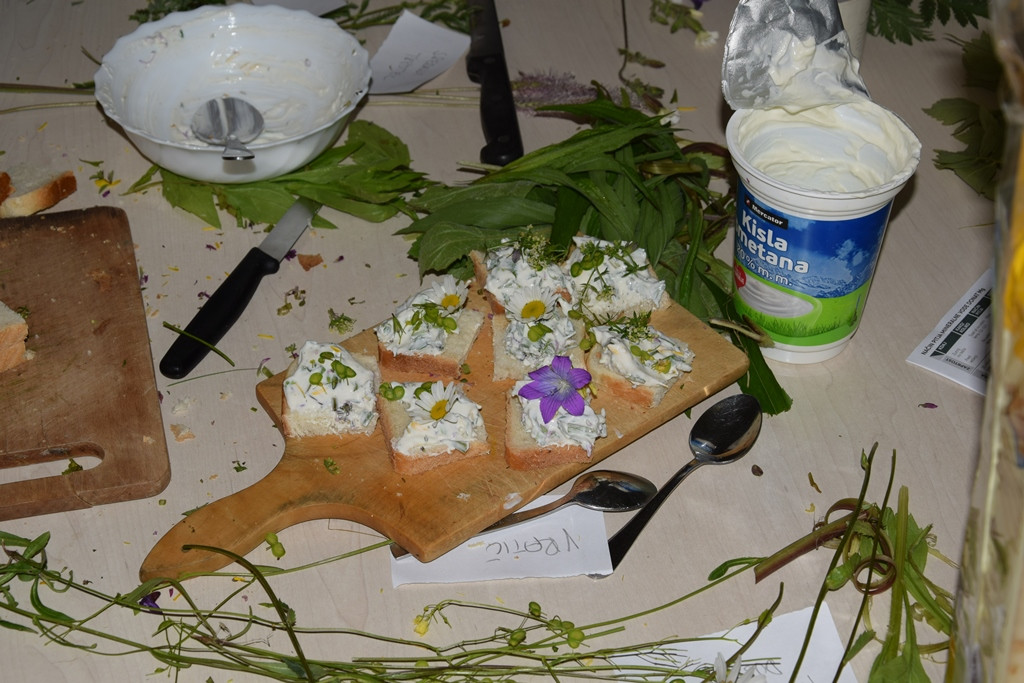 Okolju prijazen Viharnik - ker mislimo na jutrišnji dan