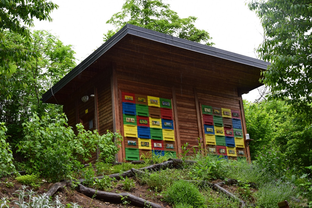 Okolju prijazen Viharnik - ker mislimo na jutrišnji dan