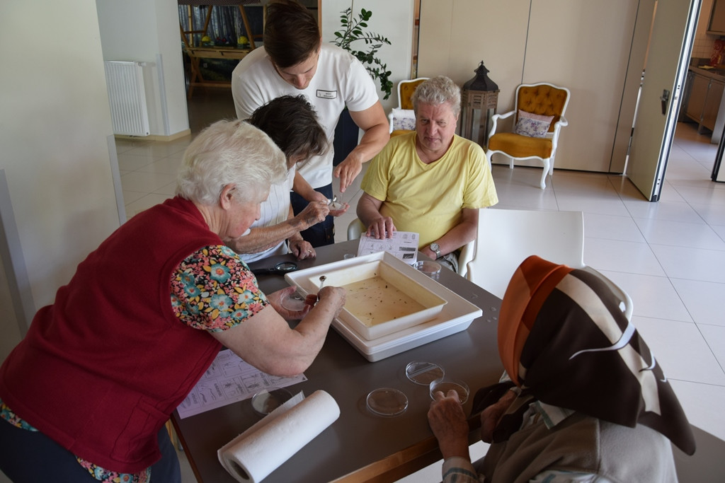 Okolju prijazen Viharnik - ker mislimo na jutrišnji dan
