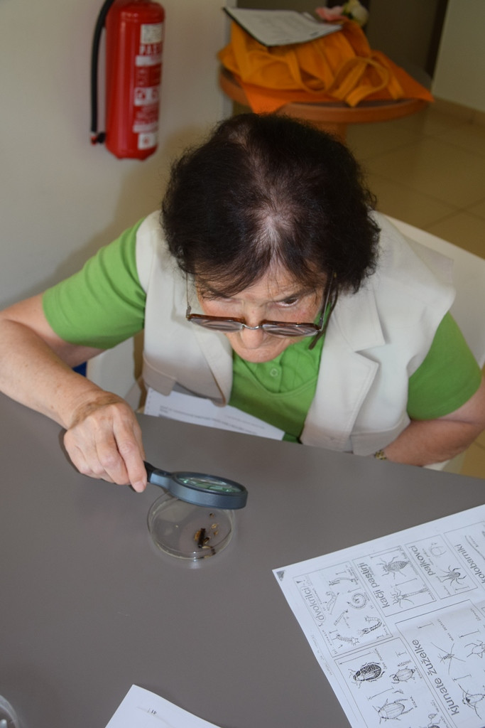 Okolju prijazen Viharnik - ker mislimo na jutrišnji dan