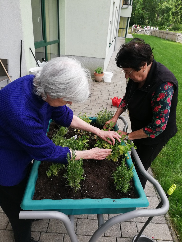 Okolju prijazen Viharnik - ker mislimo na jutrišnji dan