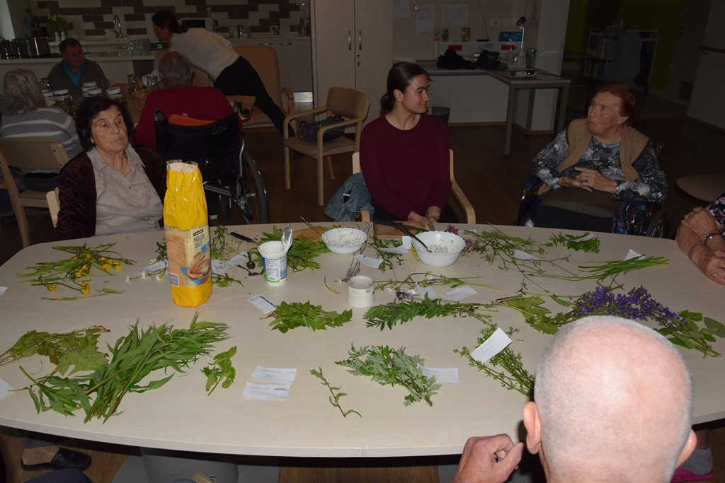 Okolju prijazen Viharnik - ker mislimo na jutrišnji dan