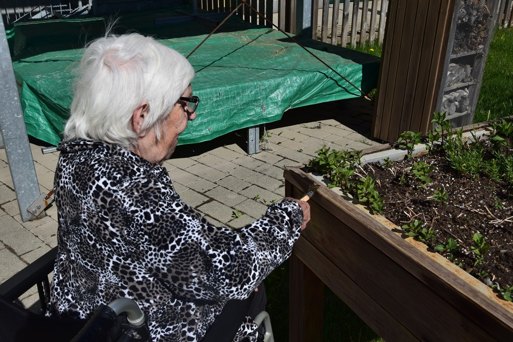 Osvežitev Garklca za novo zeliščno zasaditev