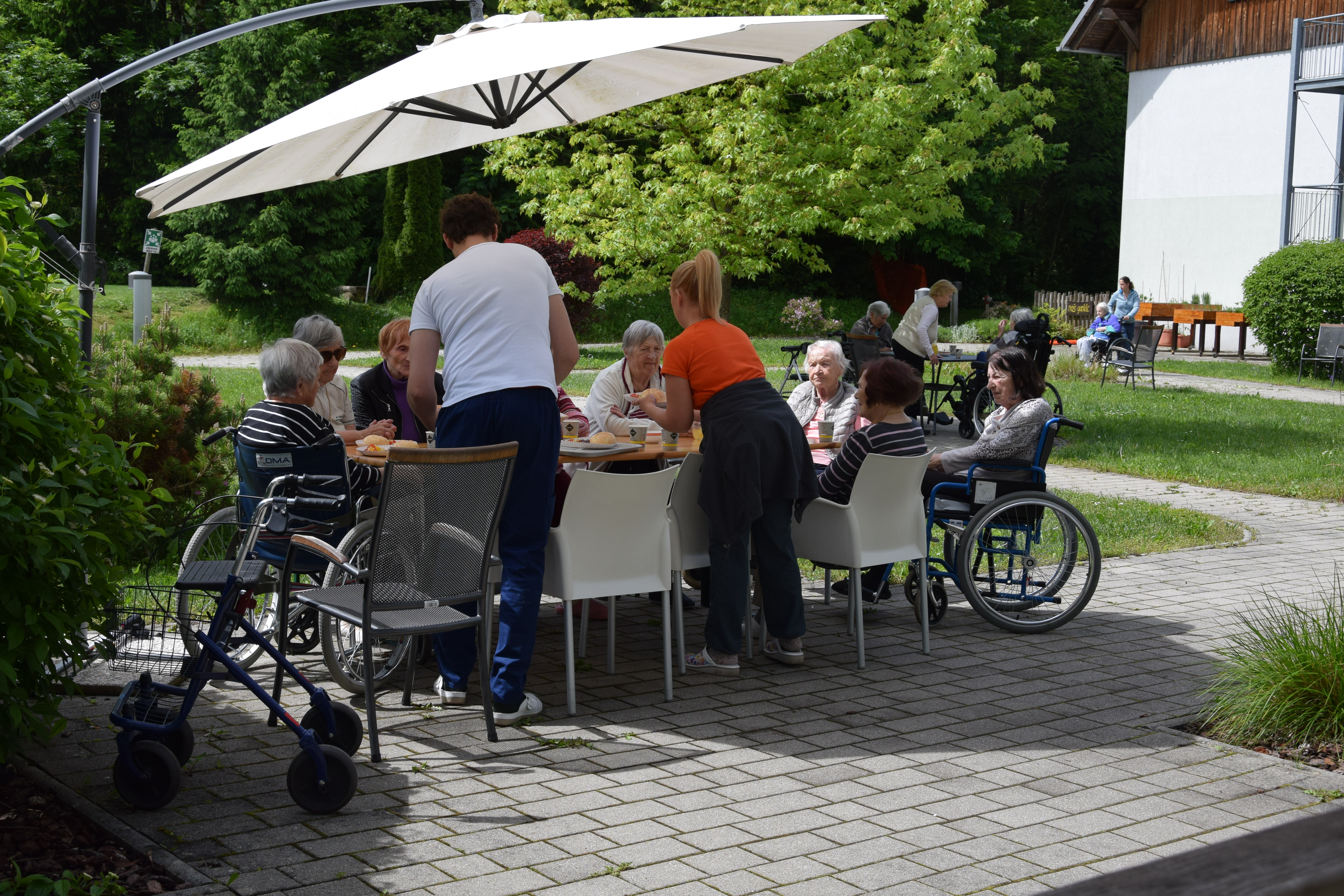 Piknik  s stanovalci v parku