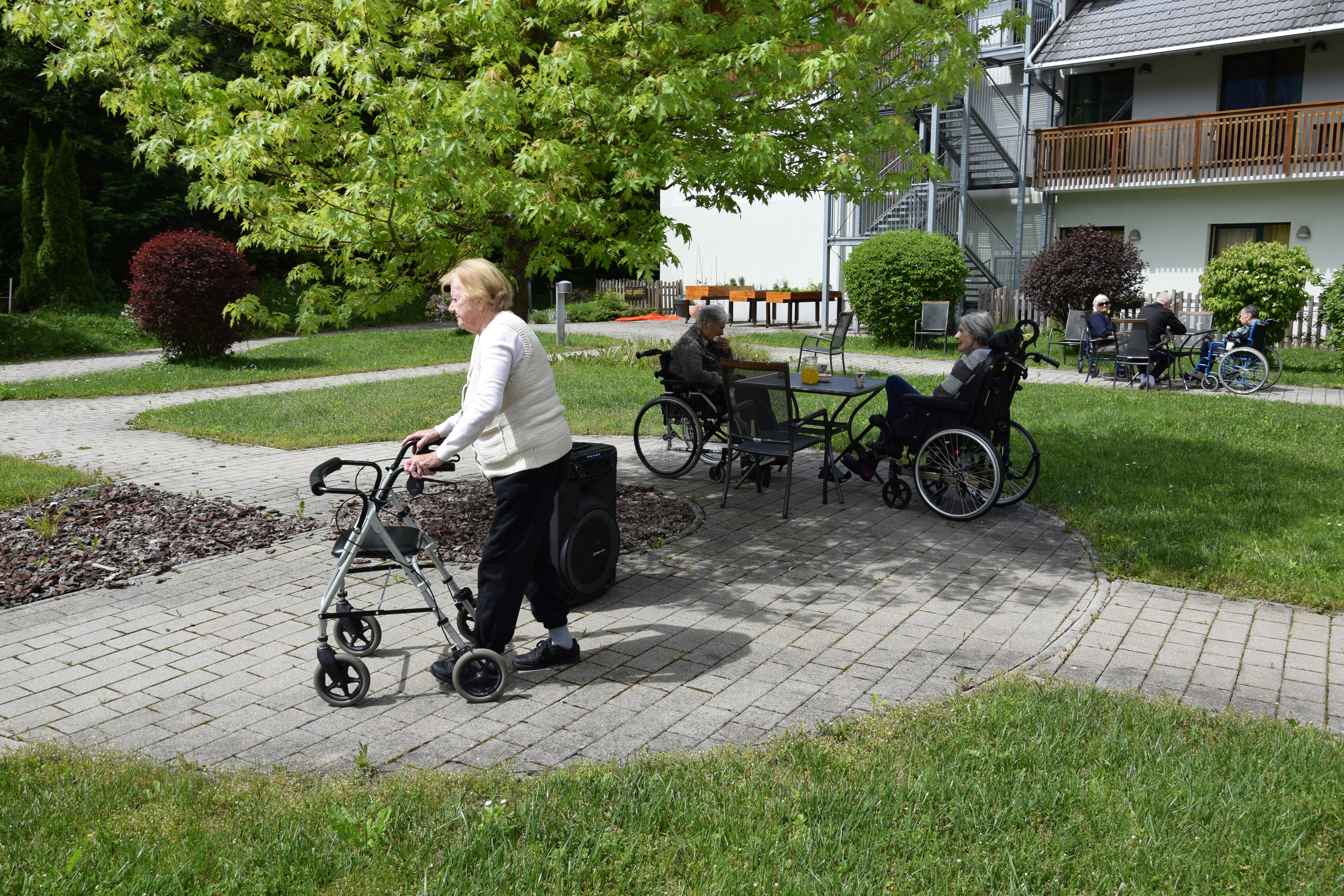 Piknik  s stanovalci v parku