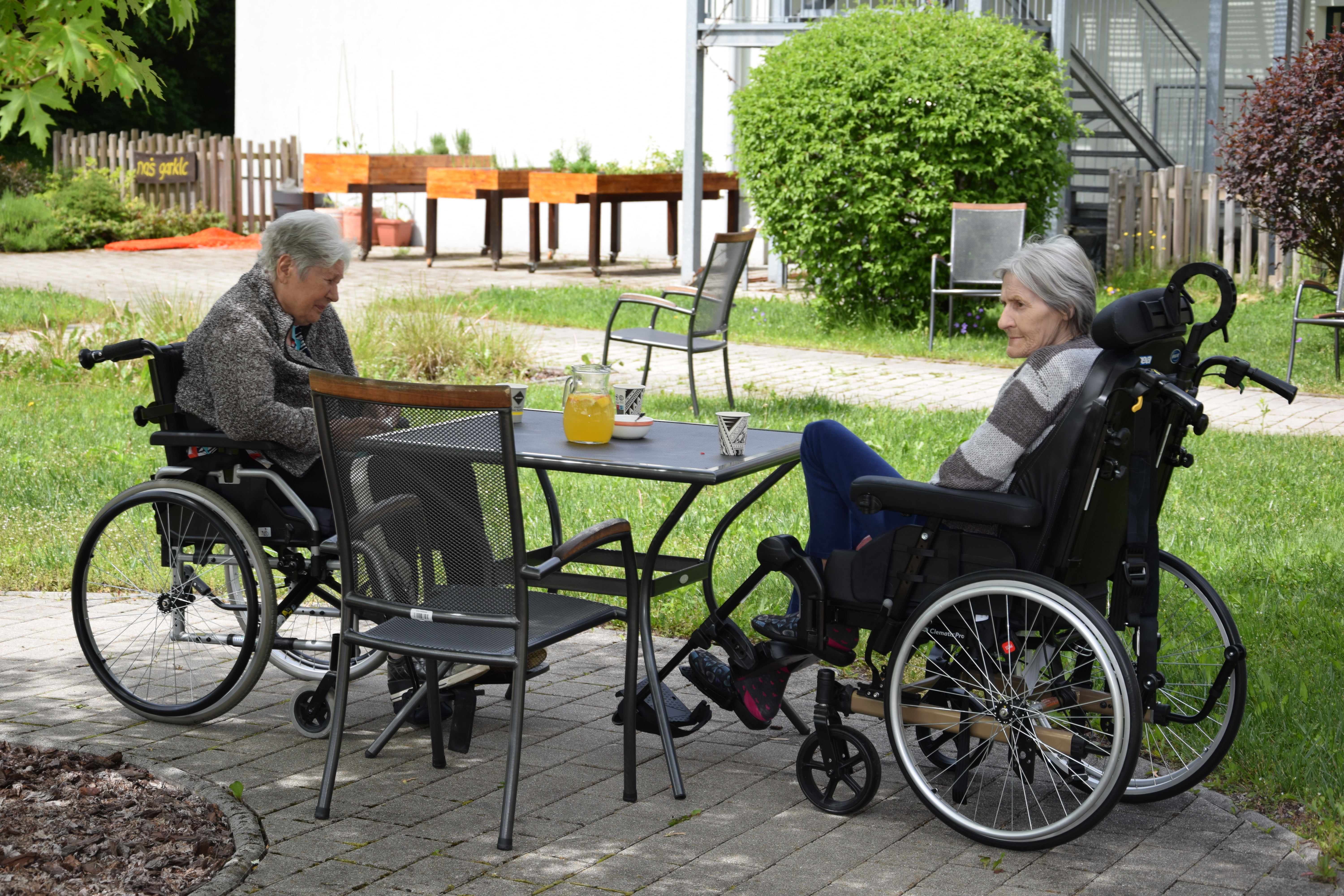 Piknik  s stanovalci v parku