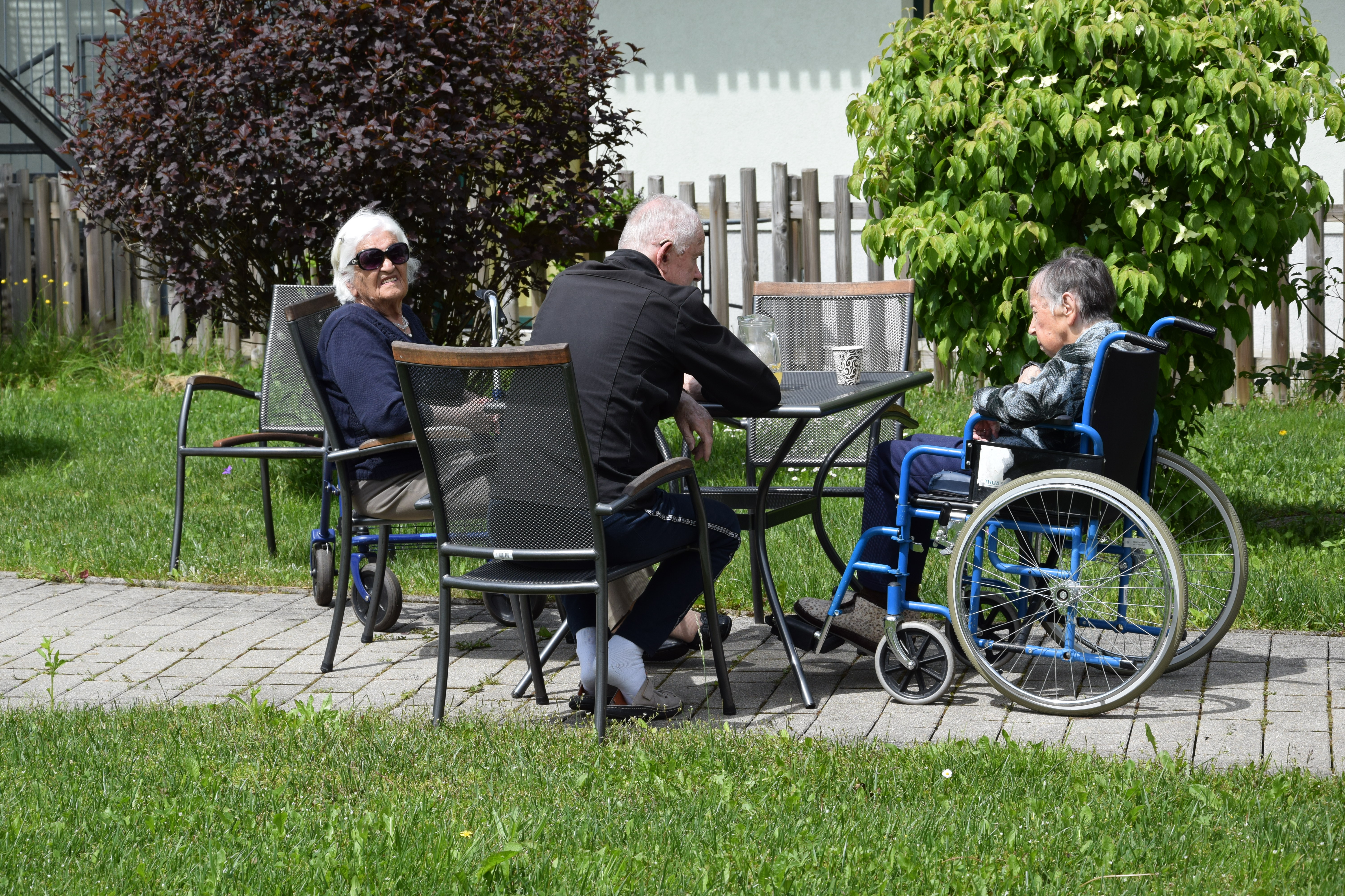 Piknik  s stanovalci v parku