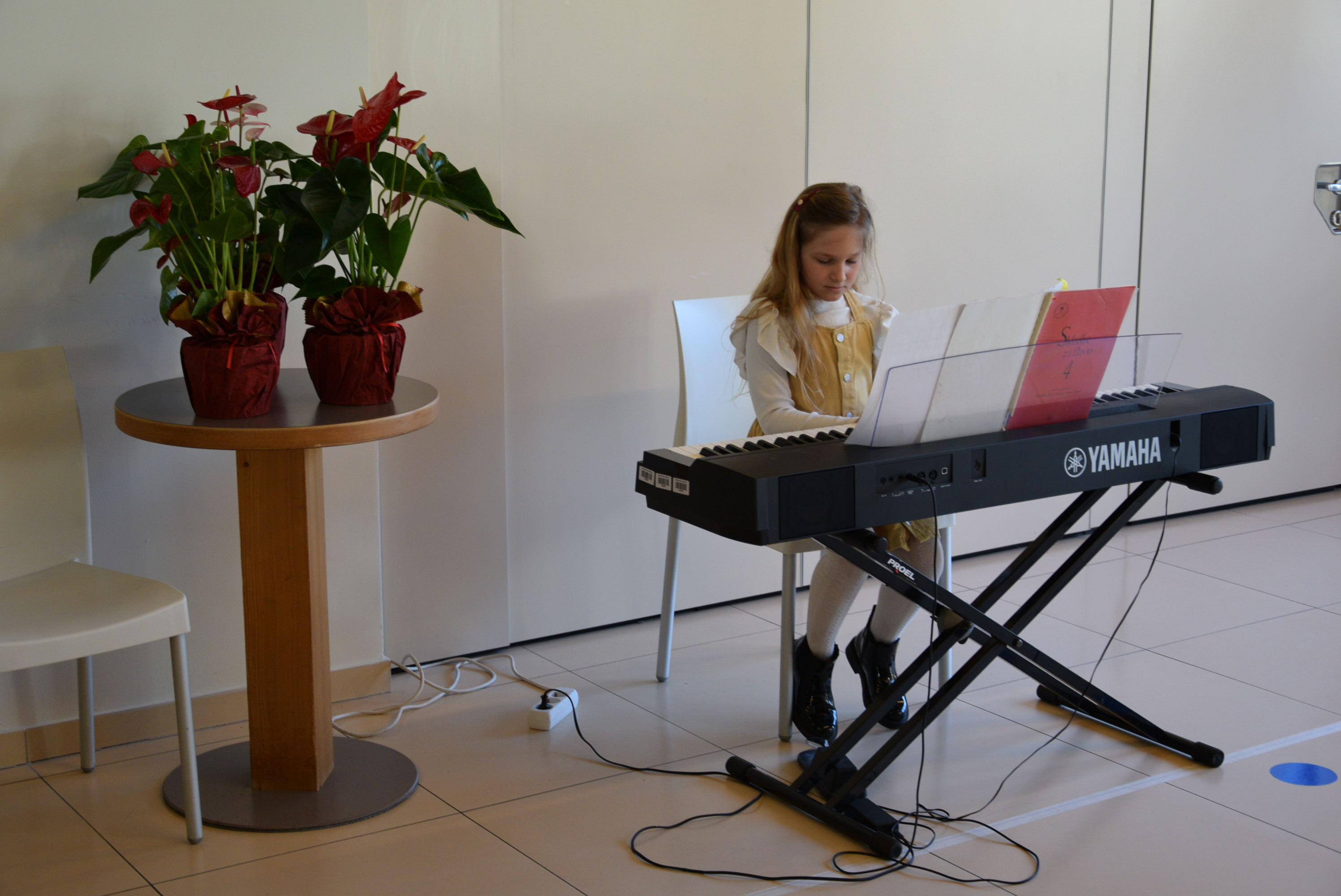 Praznovanje 11. obletnice Doma Viharnik