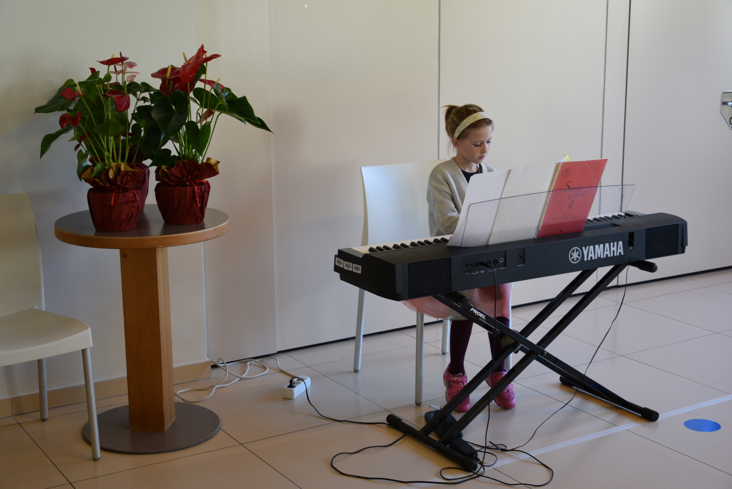 Praznovanje 11. obletnice Doma Viharnik