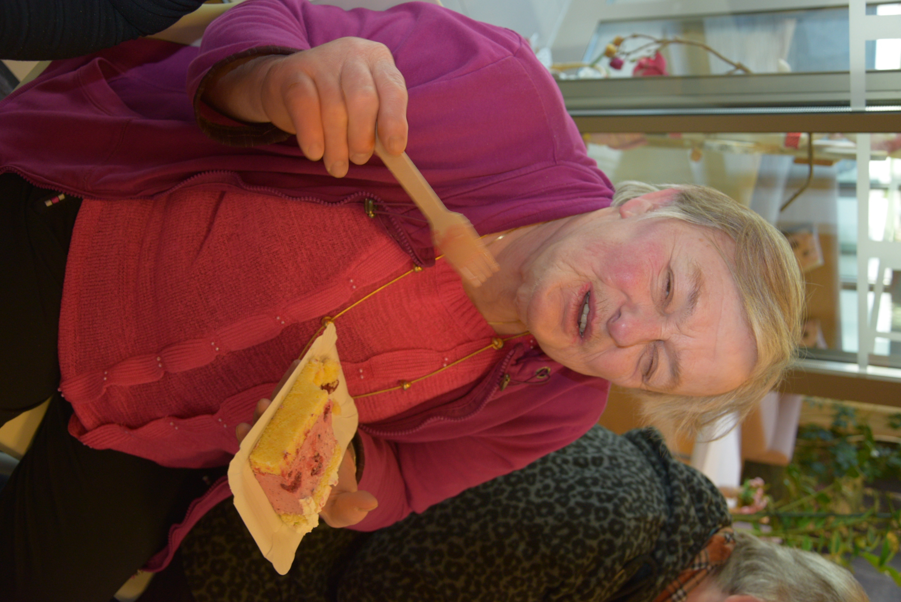 Praznovanje 11. obletnice Doma Viharnik