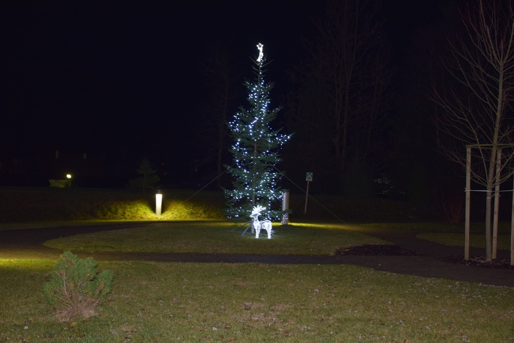 Prižig novoletnih lučk