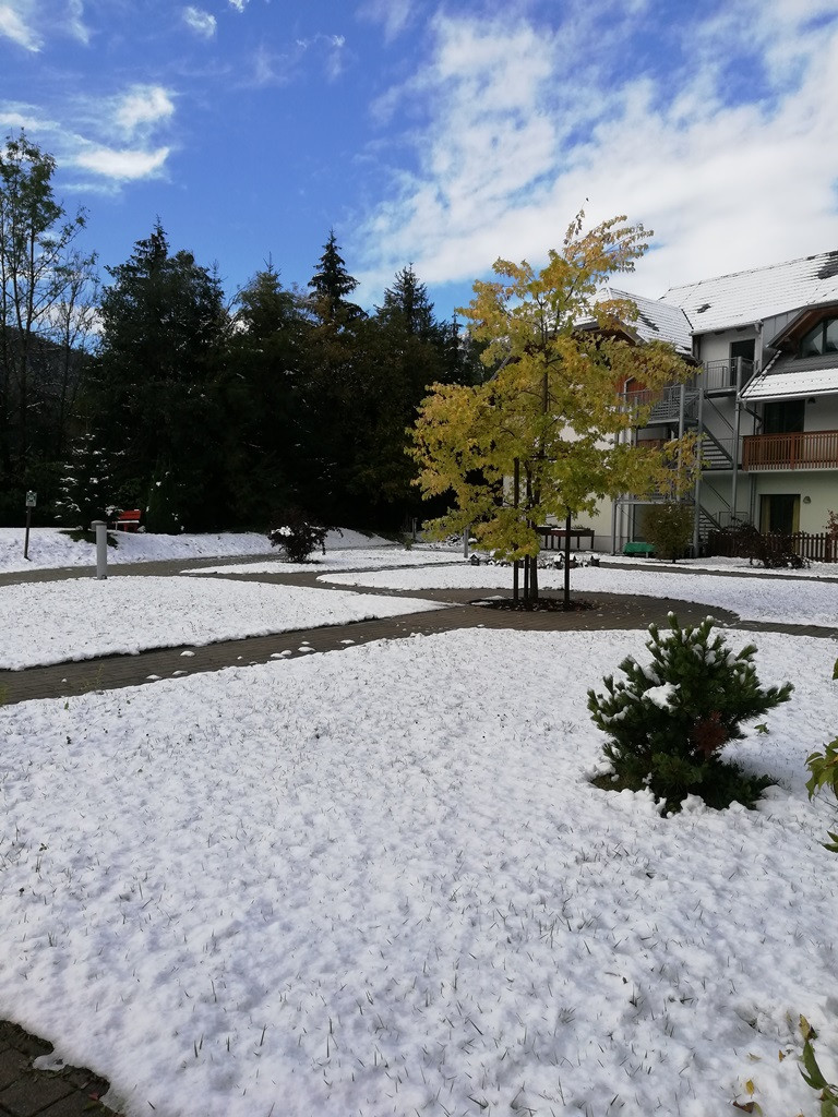 Prvi sneg in spomin na razigrano otroštvo