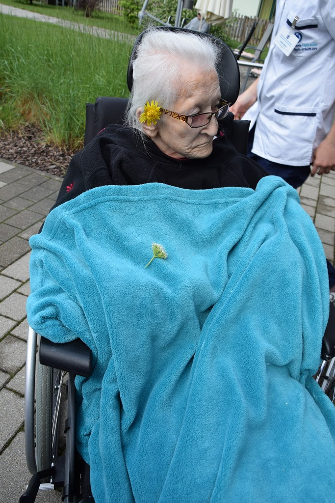 S skupnimi močmi do nove podobe Viharnika