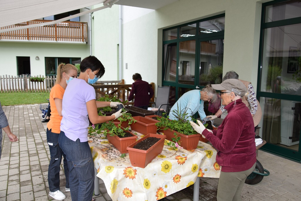 S skupnimi močmi do nove podobe Viharnika