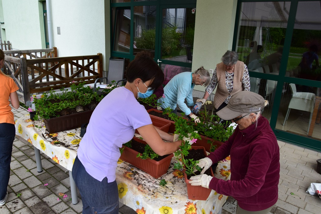 S skupnimi močmi do nove podobe Viharnika
