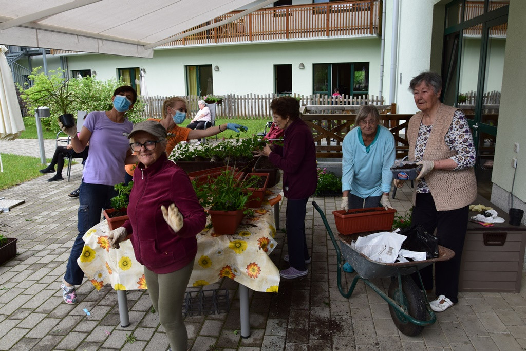 S skupnimi močmi do nove podobe Viharnika