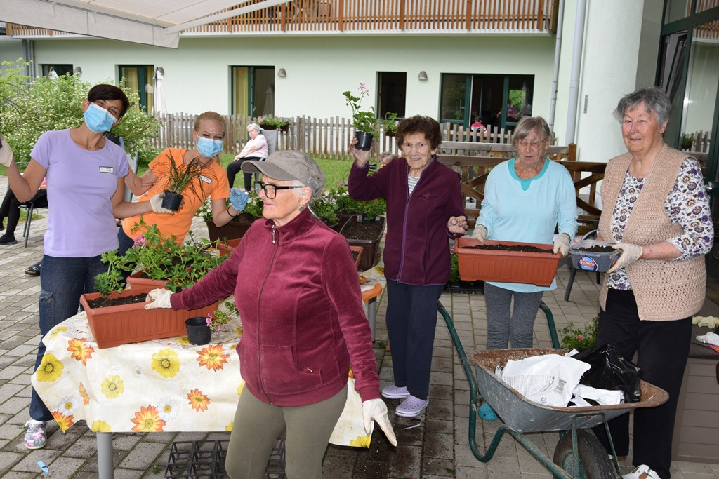S skupnimi močmi do nove podobe Viharnika