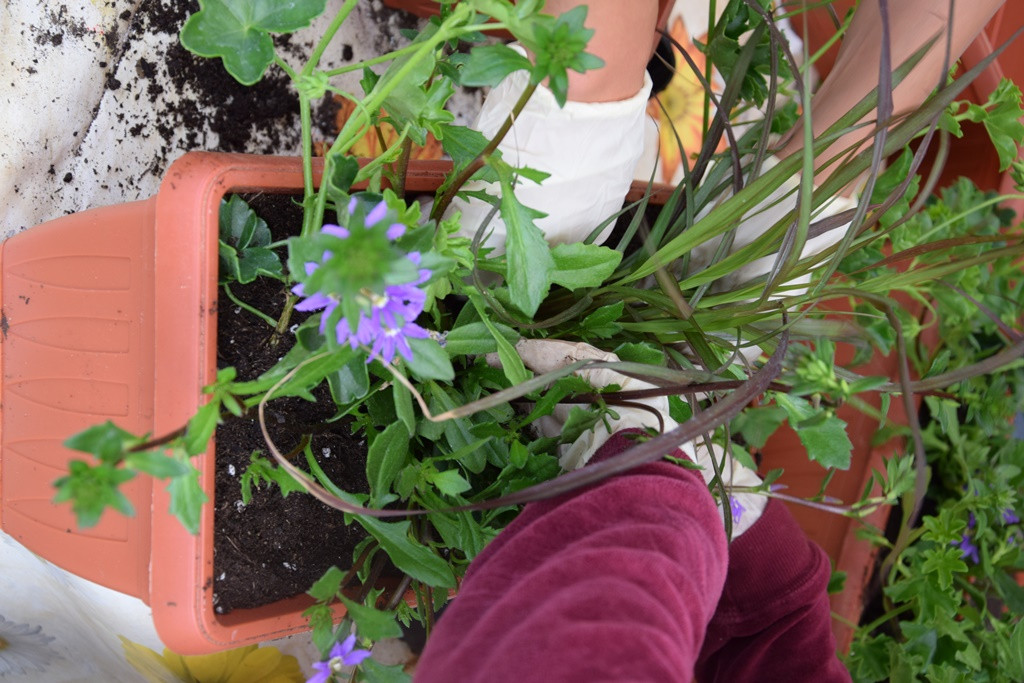 S skupnimi močmi do nove podobe Viharnika