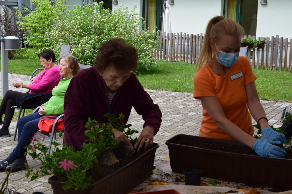 S skupnimi močmi do nove podobe Viharnika