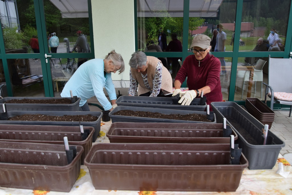 S skupnimi močmi do nove podobe Viharnika