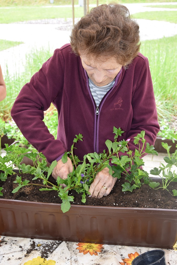 S skupnimi močmi do nove podobe Viharnika