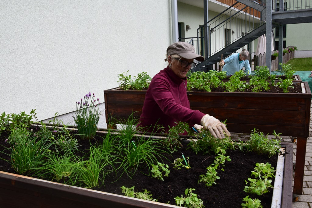 S skupnimi močmi do nove podobe Viharnika