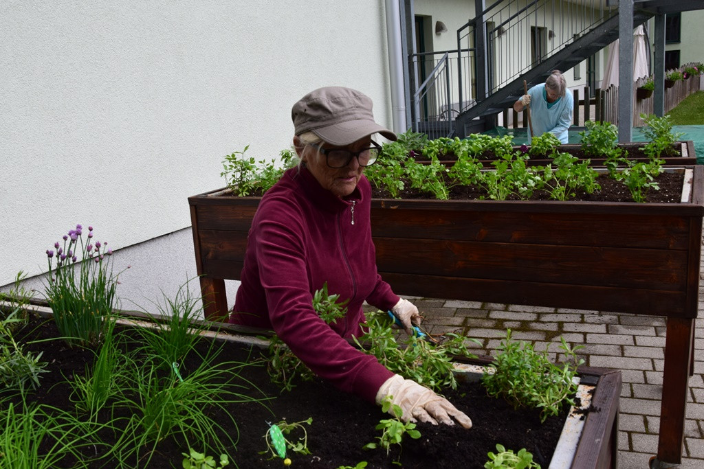 S skupnimi močmi do nove podobe Viharnika