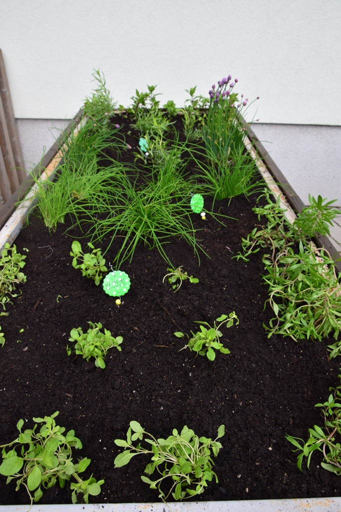 S skupnimi močmi do nove podobe Viharnika