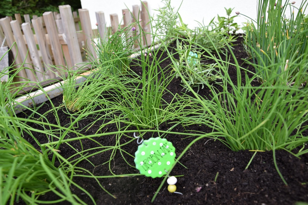 S skupnimi močmi do nove podobe Viharnika