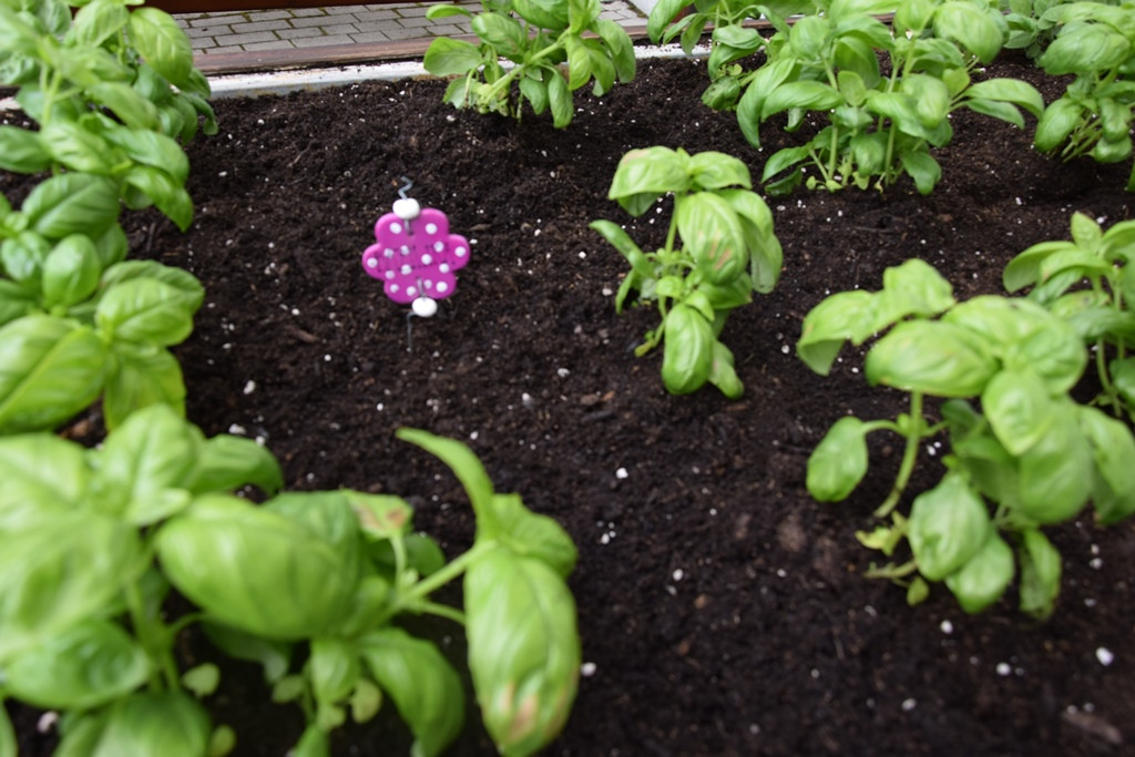 S skupnimi močmi do nove podobe Viharnika