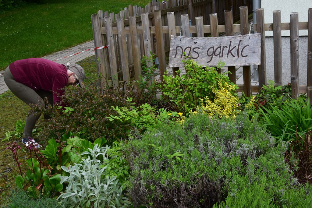 S skupnimi močmi do nove podobe Viharnika